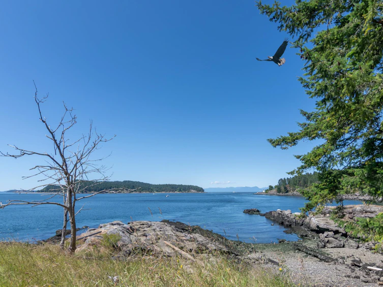 495 Deacon Lane, Galiano Island, BC, V0N 1P0 - 32