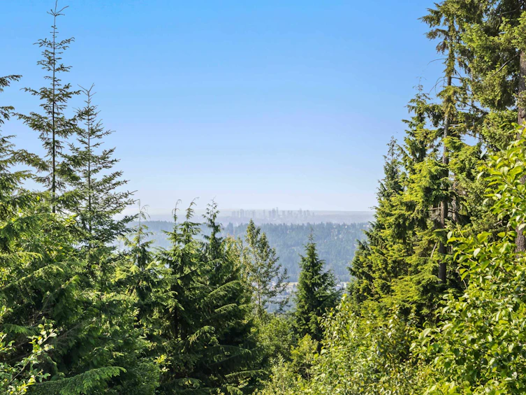 34 Hickory Drive, Port Moody, BC, V3H 5L9 - 23