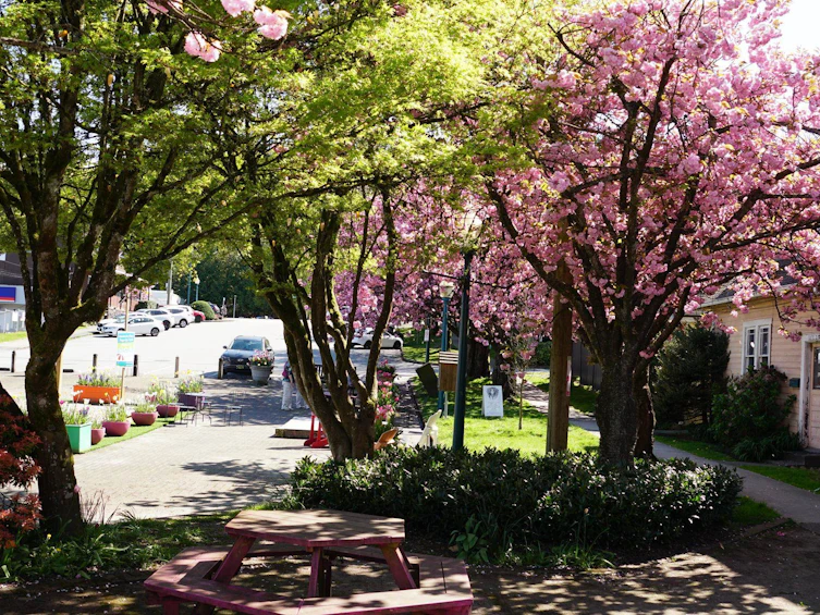 207-80 Elgin Street, Port Moody, BC, V3H 0M6 - 39