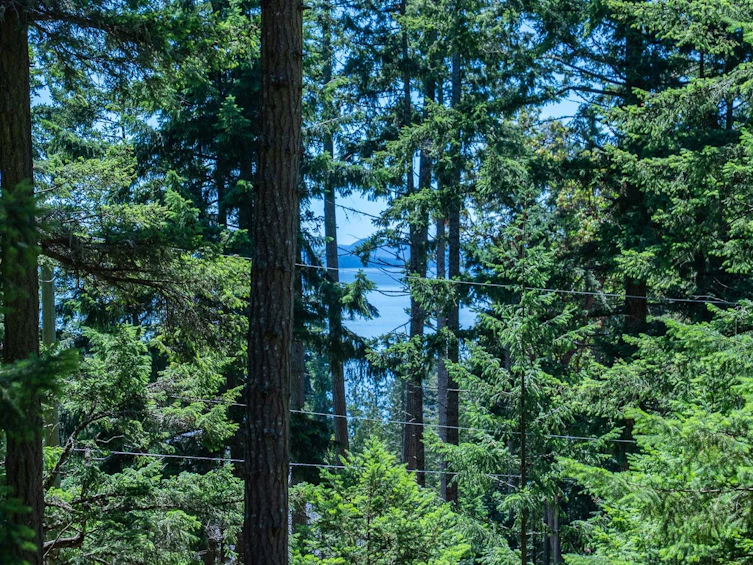 2622 Lighthouse Lane, Pender Island, BC, V0N 2M2 - 10