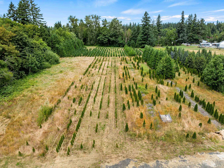 23363 48 Avenue, Langley, BC, V2Z 2S5 - 8