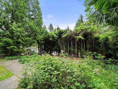 338 E Osborne Road - 5