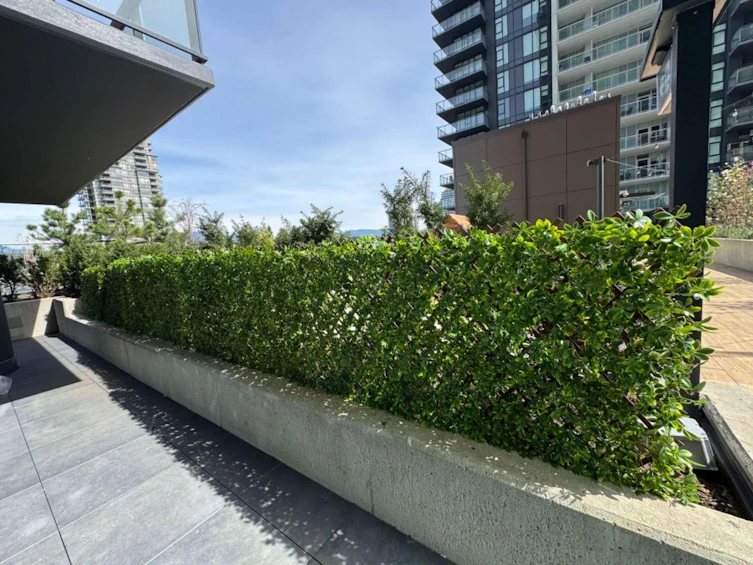 607-2108 Gilmore Avenue, Burnaby, BC, V5C 6A8 - 18