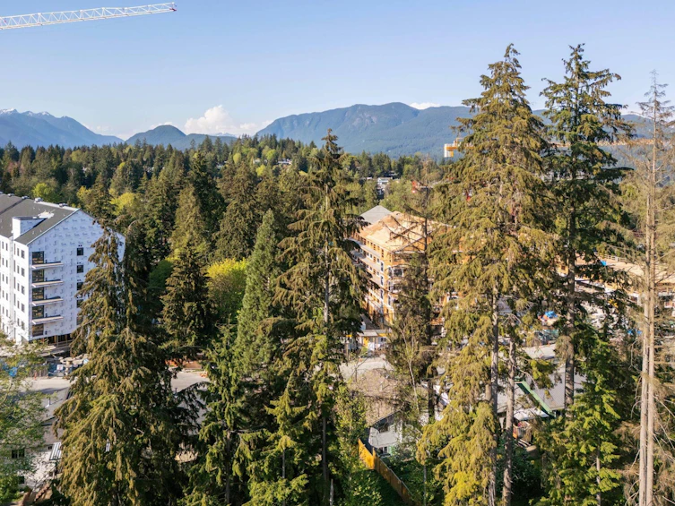 1160 Tuxedo Drive, Port Moody, BC, V3H 1L4 - 9