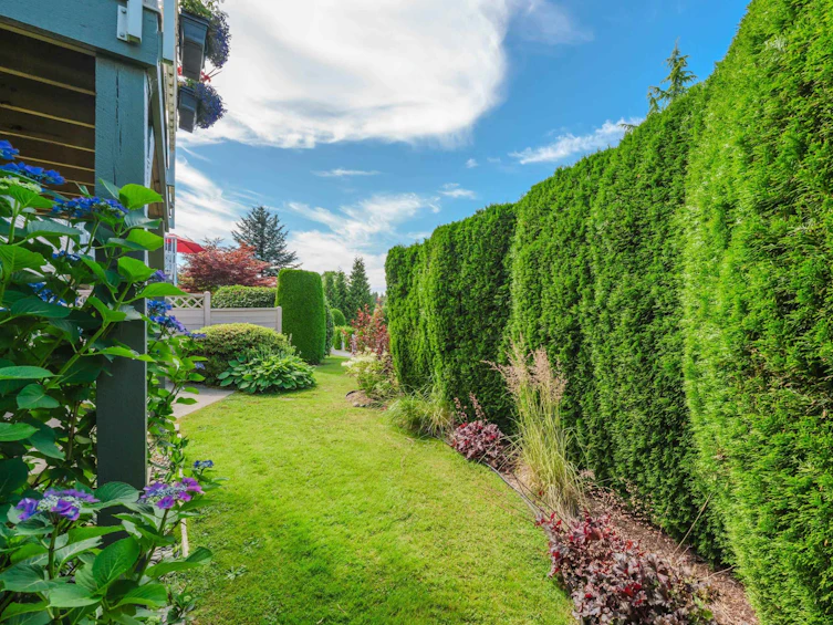 46-9012 Walnut Grove Drive, Langley, BC, V1M 2K3 - 5