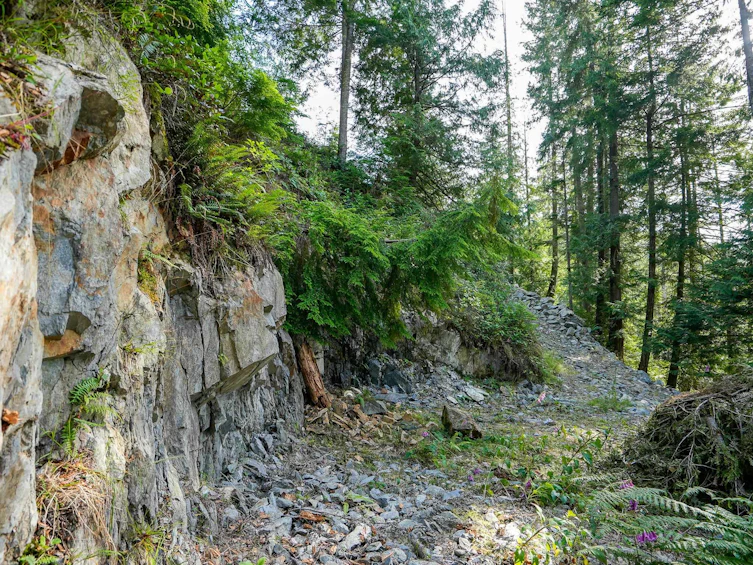 Lot 29 Douglas Bay, Gambier Island, BC, V0N 1V0 - 22