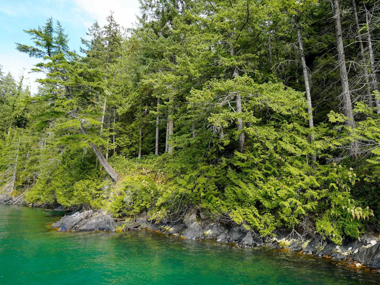 Lot 29 Douglas Bay, Gambier Island, BC, V0N 1V0 - 18