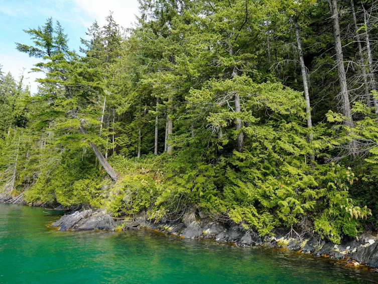 Lot 30 Douglas Bay, Gambier Island, BC, V0N 1V0 - 17