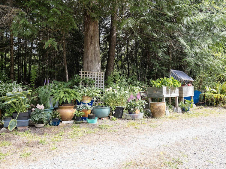1632 Pell Road, Roberts Creek, BC, V0N 2W1 - 31