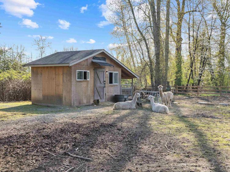 5441 256 Street, Langley, BC, V4W 1E7 - 39