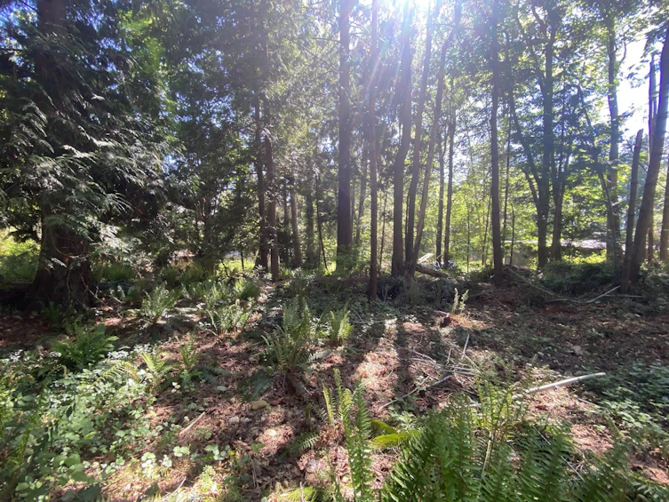 Lot B Grandview Road, Gibsons, BC, V0N 1V5 - 6