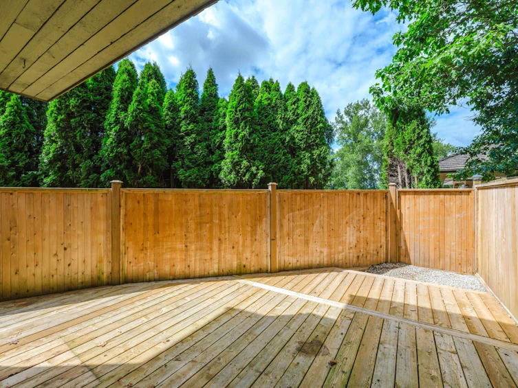 22711 Gilley Avenue, Maple Ridge, BC, V2X 2G1 - 36