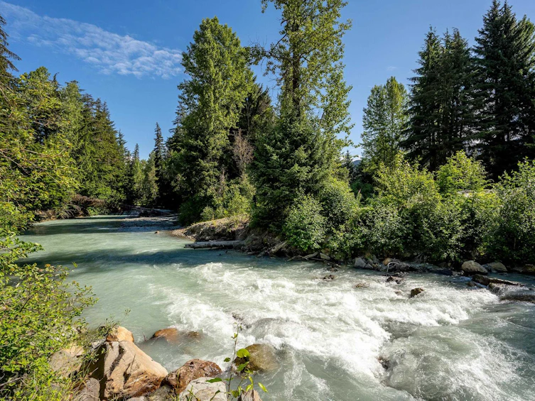 29-7124 Nancy Greene Drive, Whistler, BC, V8E 0W9 - 38
