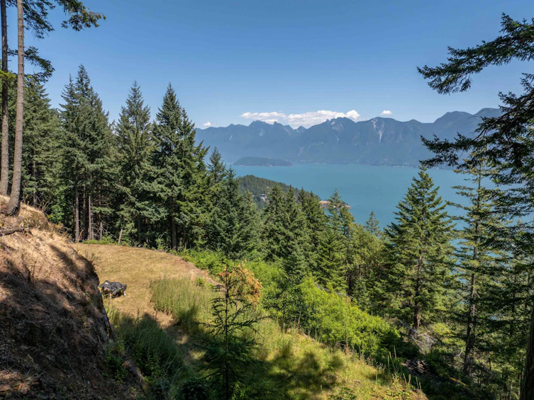738 Channelview Drive, Bowen Island, BC, V0N 1G1 - 5