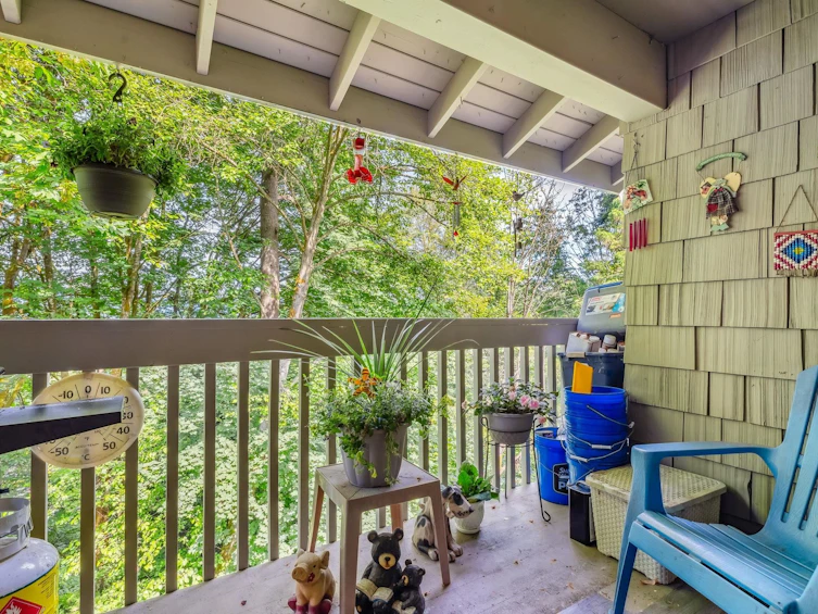 1134 Chateau Place, Port Moody, BC, V3H 1N6 - 27