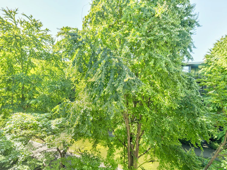 307-2288 Marstrand Avenue, Vancouver, BC, V6K 4S9 - 15
