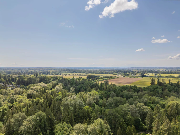 6587 238 Street, Langley, BC, V2Y 2H5 - 4