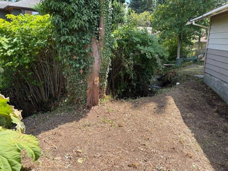 765 Lynn Valley Road, North Vancouver, BC, V7J 1Z5 - 22