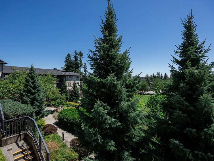 205-3156 Dayanee Springs Boulevard, Coquitlam, BC, V3E 0B7 - 38