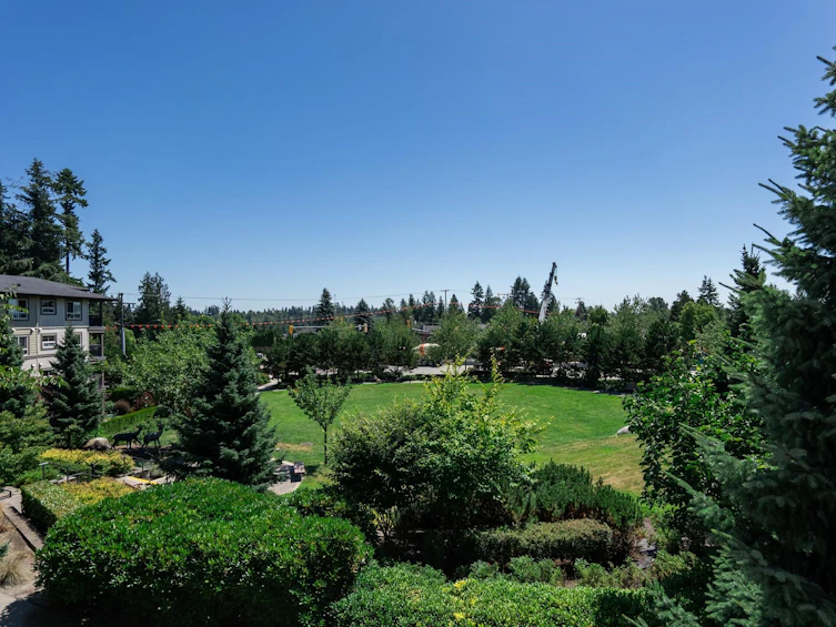 205-3156 Dayanee Springs Boulevard, Coquitlam, BC, V3E 0B7 - 36