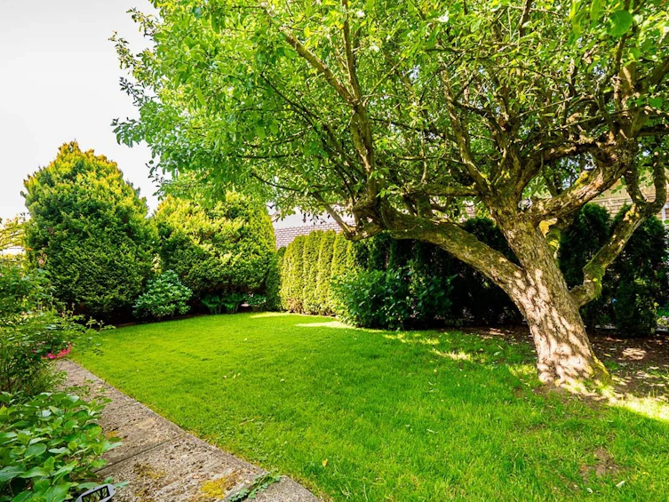14253 Magdalen Avenue, Surrey, BC, V4B 2W8 - 33