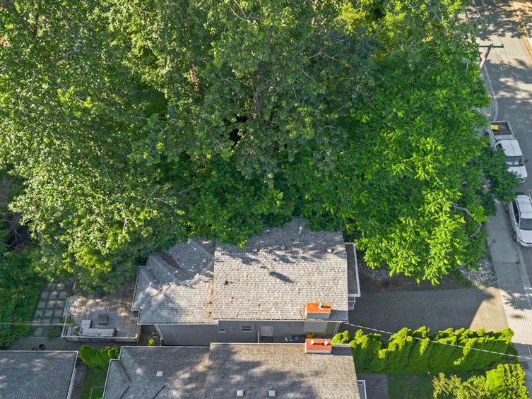 1911 Mahon Avenue, North Vancouver, BC, V7M 2T4 - 33