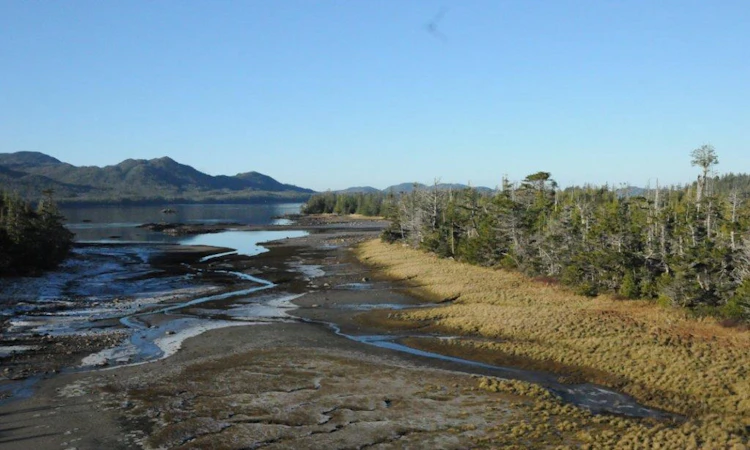 DL 88 Hanson Island