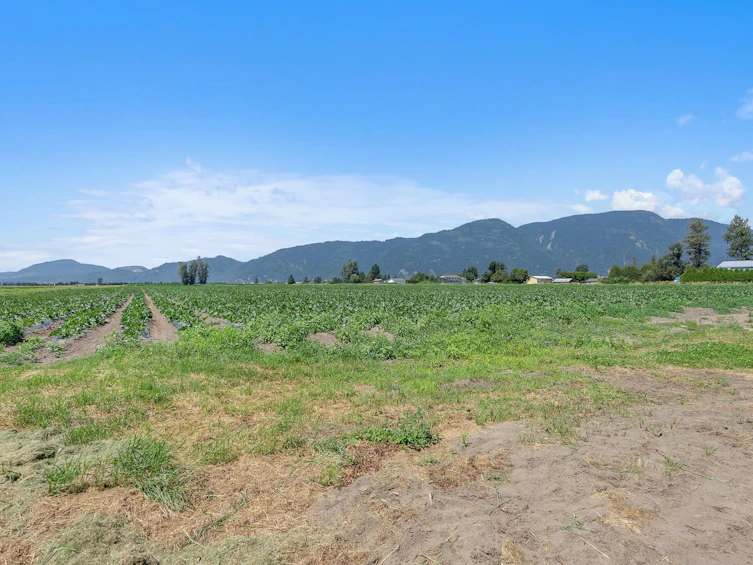 3873 Tolmie Road, Abbotsford, BC, V3G 2T9 - 40