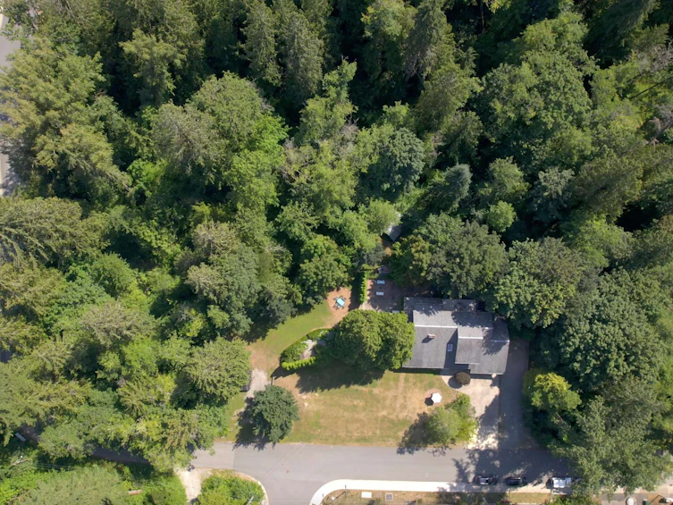 24240 113 Avenue, Maple Ridge, BC, V2W 1H5 - 39