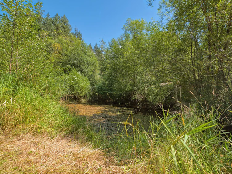 13587 Barabash Road, Pender Harbour Egmont, BC, V0N 1S1 - 34