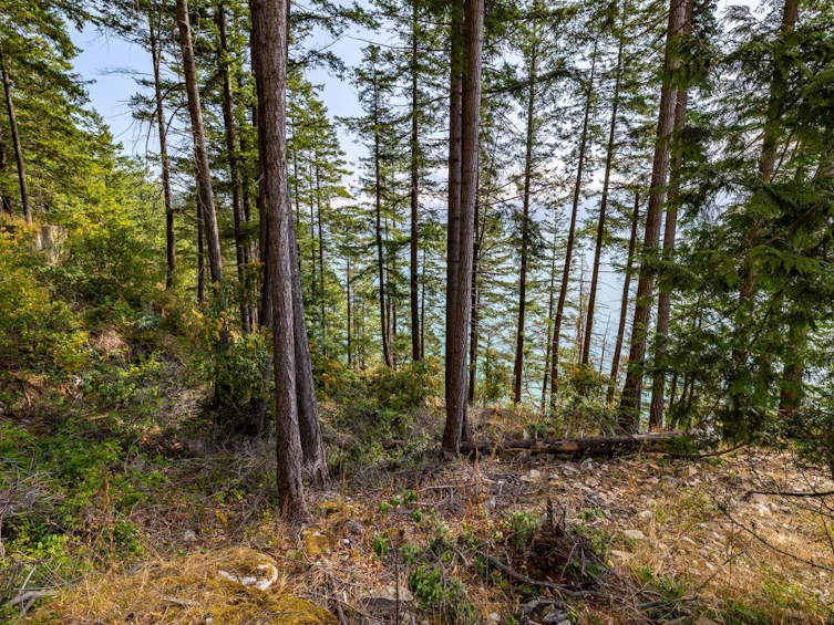 1345 Catalina Road, Bowen Island, BC, V0N 1G1 - 13
