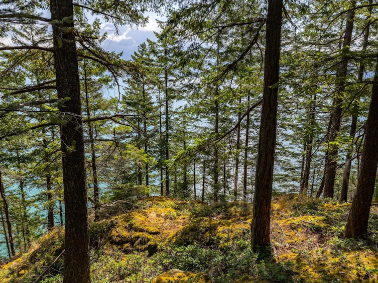 1345 Catalina Road, Bowen Island, BC, V0N 1G1 - 14
