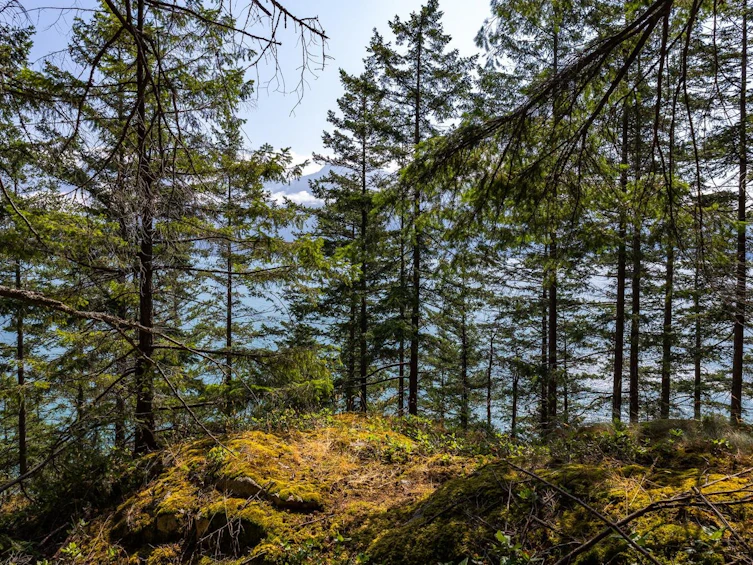 1345 Catalina Road, Bowen Island, BC, V0N 1G1 - 11