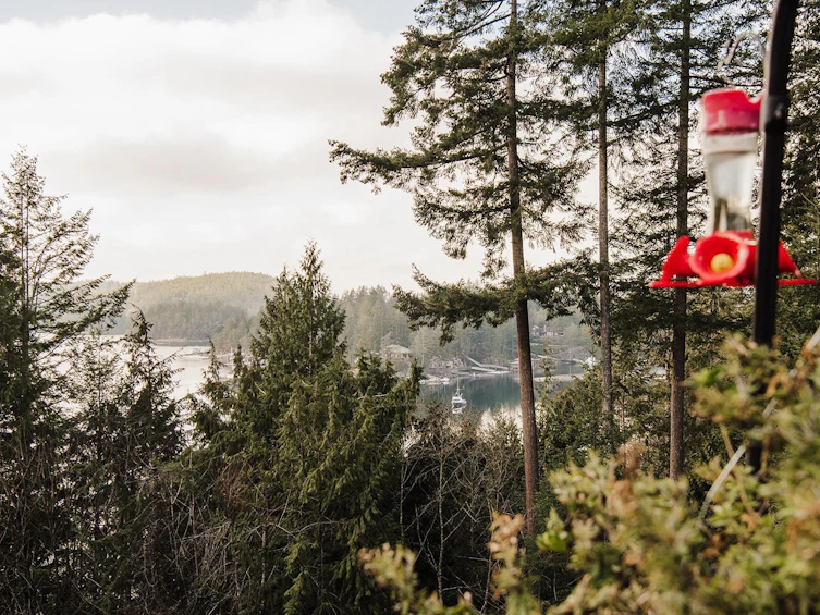 5220 Claydon Road, Pender Harbour Egmont, BC, V0N 1S1