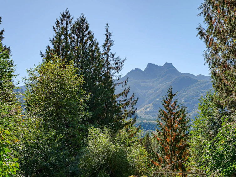 50802 Winona Road, Chilliwack, BC, V4Z 1B6 - 33