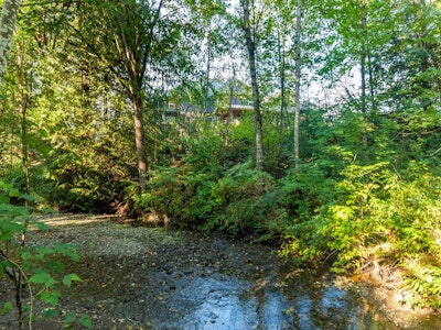 3684 Cobblestone Drive - 3