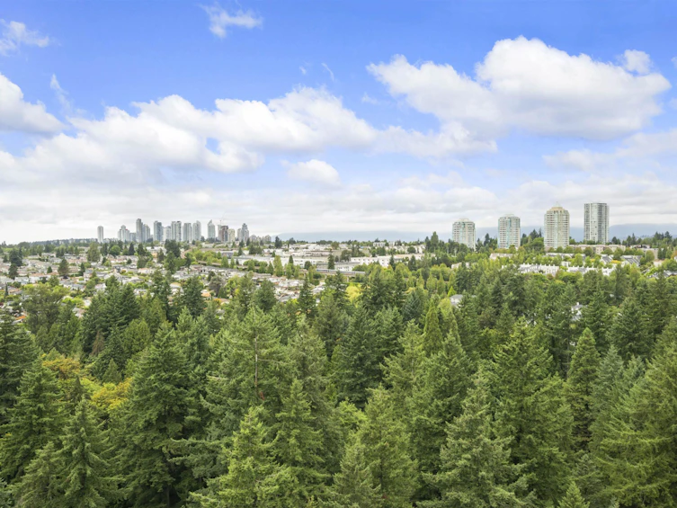 2003-6823 Station Hill Drive, Burnaby, BC, V3N 0A9 - 29