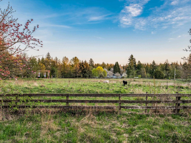 22482 8 Avenue, Langley, BC, V2Z 2W4 - 28