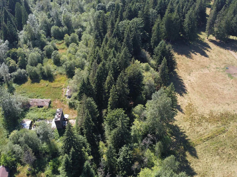 12999 Stave Lake Road, Mission, BC, V2V 0A7 - 2