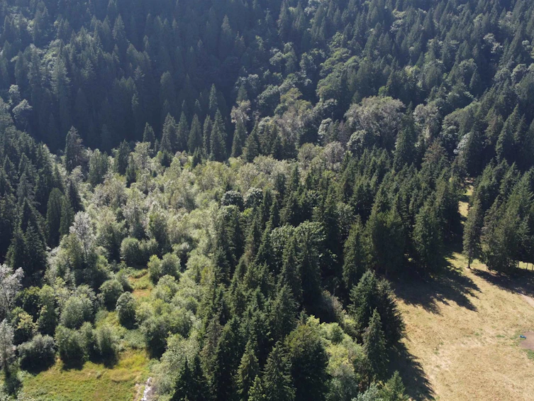 12999 Stave Lake Road, Mission, BC, V2V 0A7 - 8