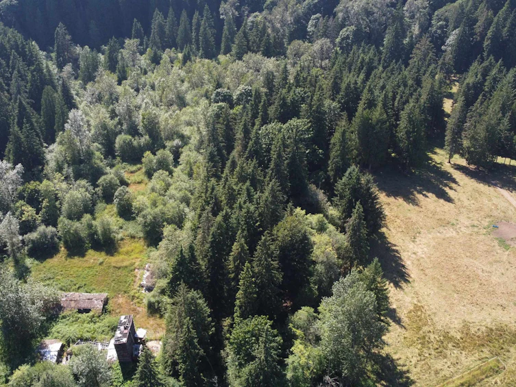12999 Stave Lake Road, Mission, BC, V2V 0A7 - 7
