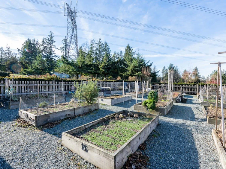 306-2855 156 Street, Surrey, BC, V3Z 3Y3 - 33