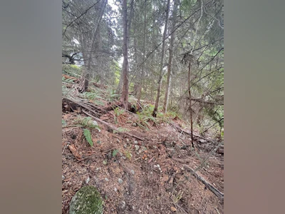 Lot 34 Deerhorn Drive - 4