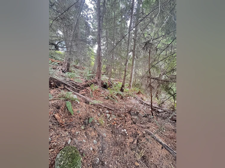 Lot 34 Deerhorn Drive, Sechelt, BC, V7Z 0E1 - 4