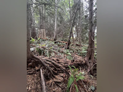 Lot 34 Deerhorn Drive - 3