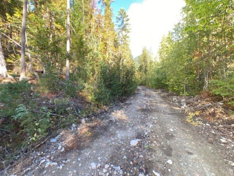 LOT A &-LOT 6 Anstey Arm, Seymour Arm, BC, V0E 1M7 - 27