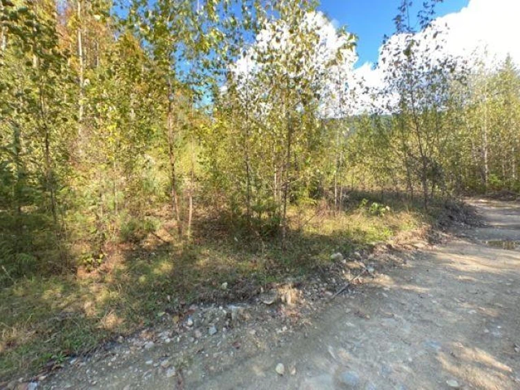 LOT A &-LOT 6 Anstey Arm, Seymour Arm, BC, V0E 1M7 - 24
