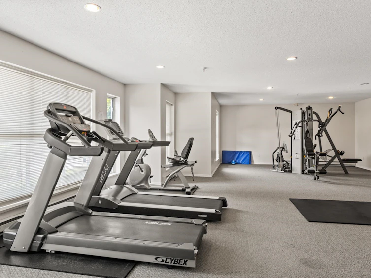 1137 Bennet Drive, Port Coquitlam, BC, V3C 6H2 - 39