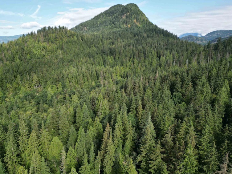 241AC Sylvester Road, Mission, BC, V2V 7G7 - 6