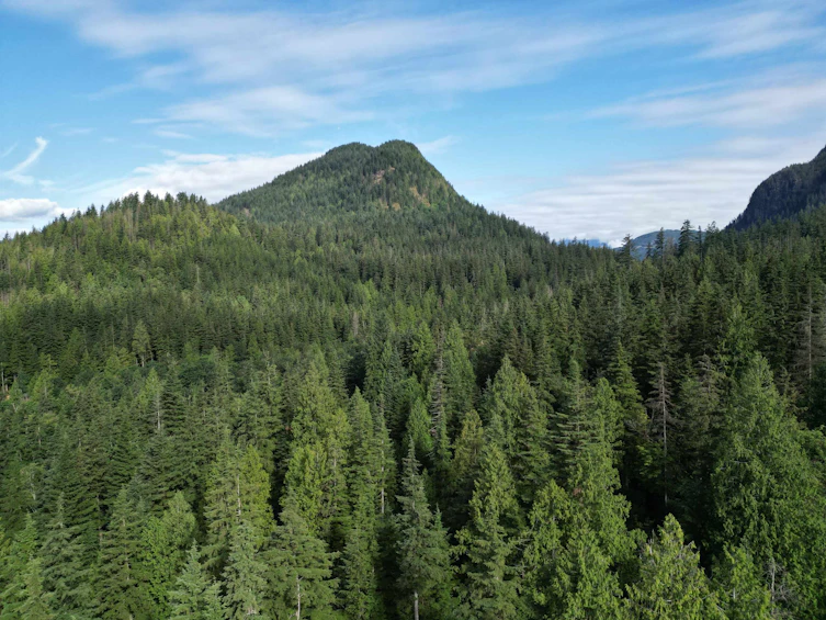 241AC Sylvester Road, Mission, BC, V2V 7G7 - 8